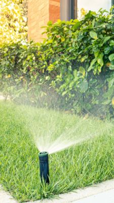 Irrigação Automática